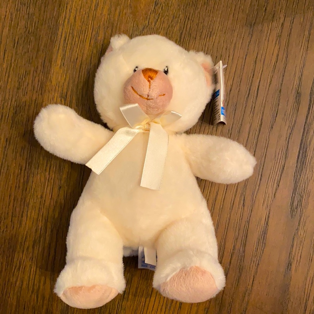 NWT Kids Preferred Teddy Bear